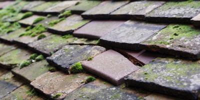 Ore Valley roof repair costs